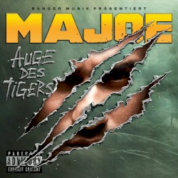 Auge des Tigers