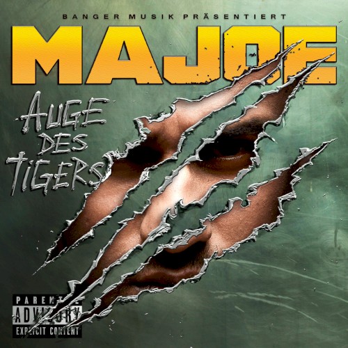 Auge des Tigers