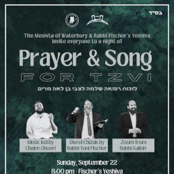 Prayer & Song For Tzvi