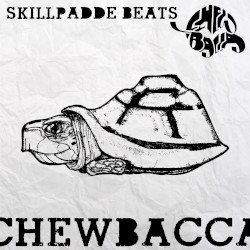 Skillpadde beats