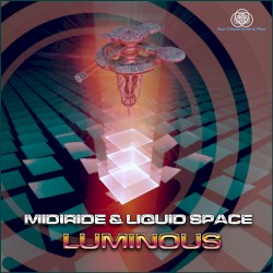Luminous