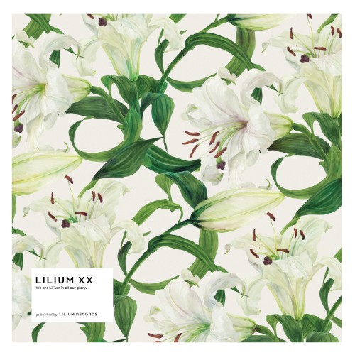 Lilium XX