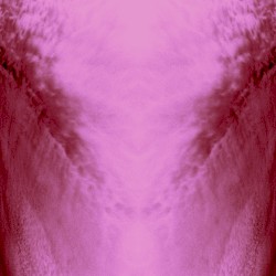 Raw Spectacle (Pantha Du Prince Remix)