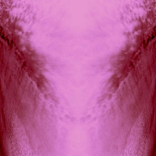 Raw Spectacle (Pantha Du Prince Remix)