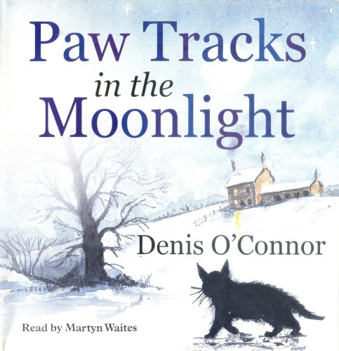 Paw Tracks in the Moonlight
