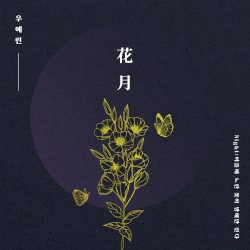 Night : 여름에 노란 꽃이 밤에만 핀다