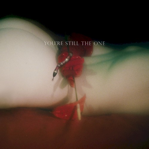 You’re Still the One