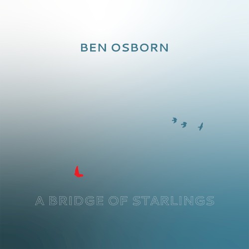 A Bridge of Starlings