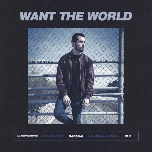 Want the World