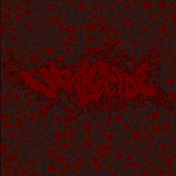 Demo 2019