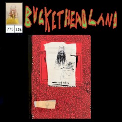 Live From Bucketheadland Fugien Vibes Library