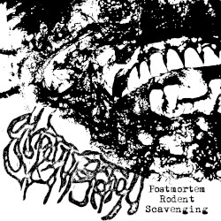 Postmortem Rodent Scavenging