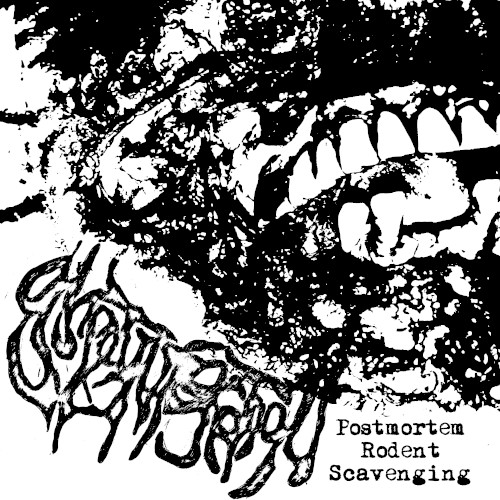 Postmortem Rodent Scavenging