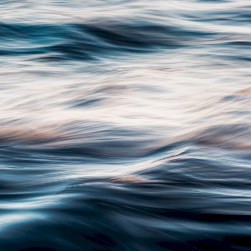 Gentle Breeze