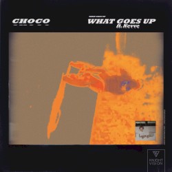 What Goes Up