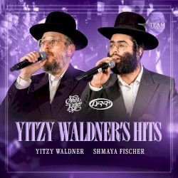 Yitzy Waldner's Hits