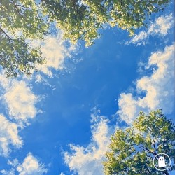 apricity