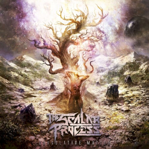 Beyond the Veil of Consciousness