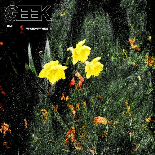 Geek
