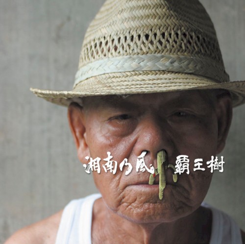 覇王樹