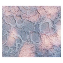 Songs of Soil