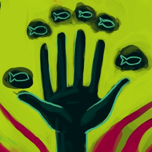 Fishrider Records Sampler 2012