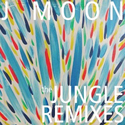 The Jungle Remixes