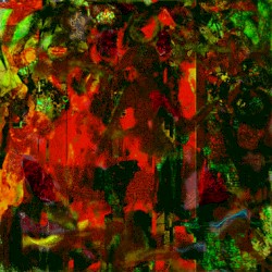 Neanderthal Camera