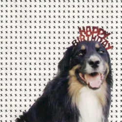 Mollie's Mix
