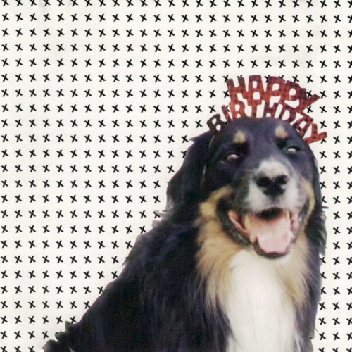 Mollie's Mix