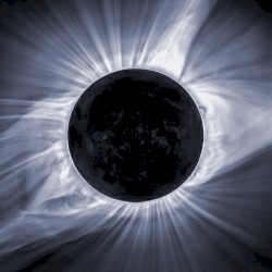 Resonant Field