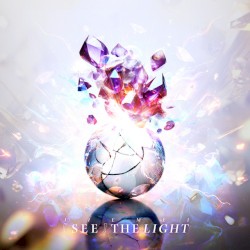 SEE/THE LIGHT