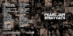 Stray Cats