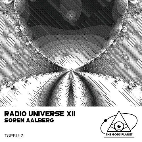 Radio Universe XII