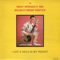 I Got A Hole In My Pocket: Great Rockabilly and Hillbilly Boogie Rarities