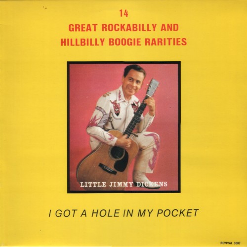 I Got A Hole In My Pocket: Great Rockabilly and Hillbilly Boogie Rarities