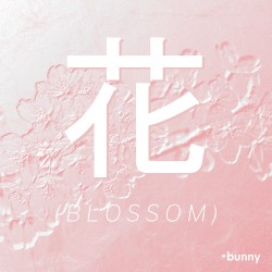 Blossom