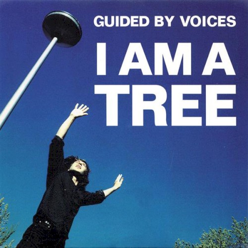 I Am a Tree