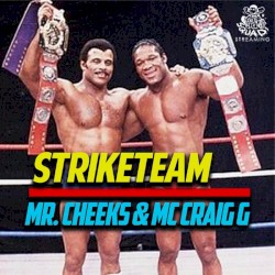 Striketeam