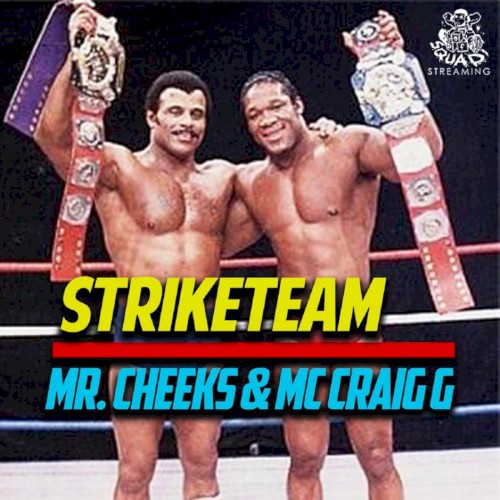 Striketeam