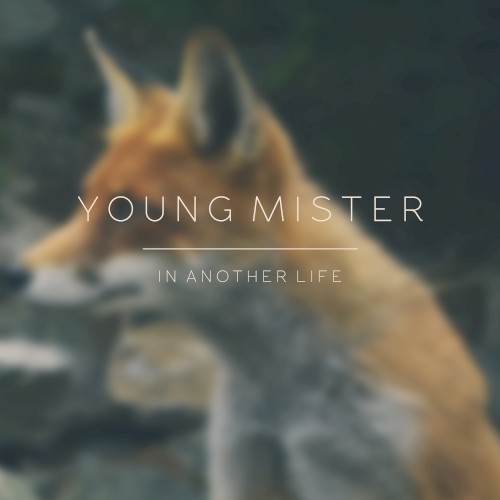 In Another Life