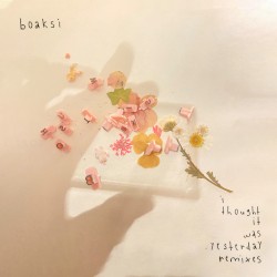 i thought it was yesterday (remixes)
