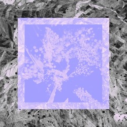 Image Version Remixes