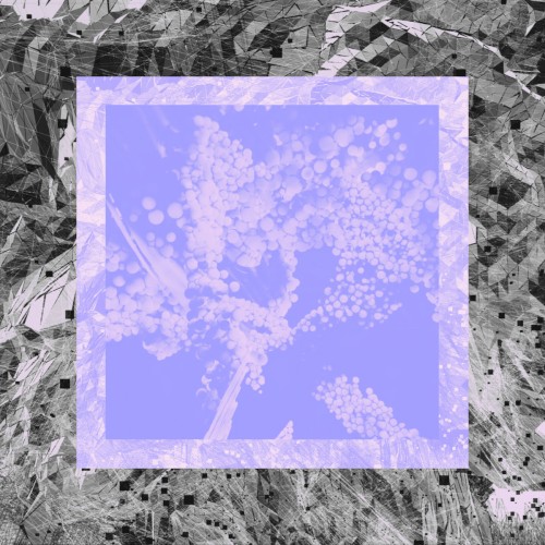 Image Version Remixes