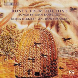 Honey From the Hive
