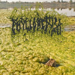 Algaeicntopia II: Harsh Times At Sludgemont High