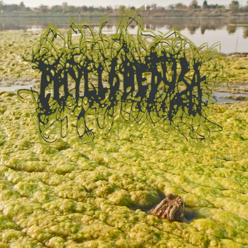 Algaeicntopia II: Harsh Times At Sludgemont High