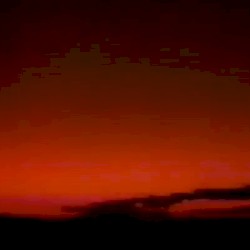 仮想夢世の中