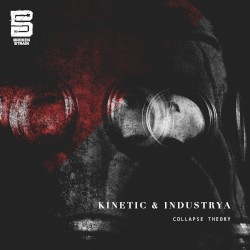 Collapse Theory