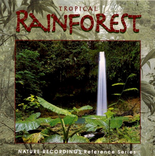 Tropical Rainforest